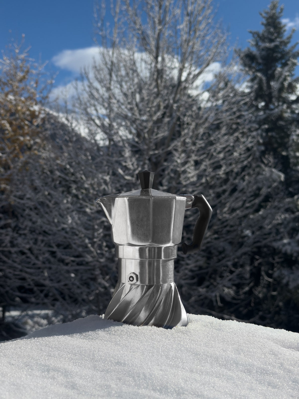 Turbo Moka standing in fresh snow with frosted pine trees behind it