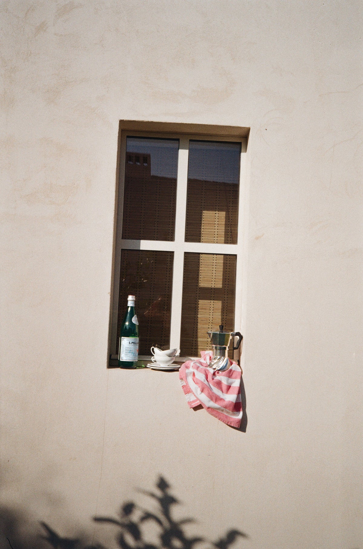 Turbo Moka on a sunlit windowsill beside a bottle of water, a cup and a pink striped towel, against a pale stucco wall